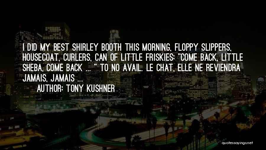 Tony Kushner Quotes 619042