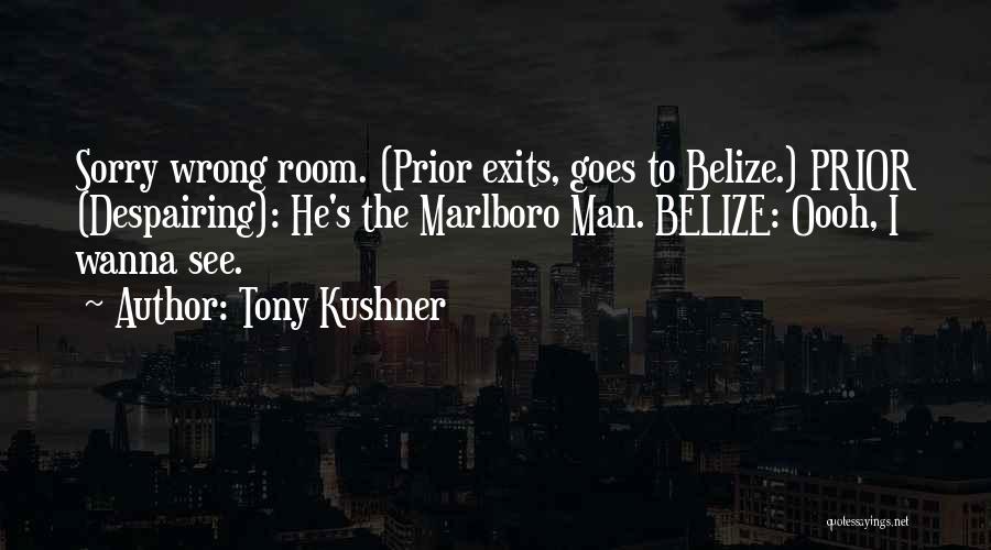 Tony Kushner Quotes 906264