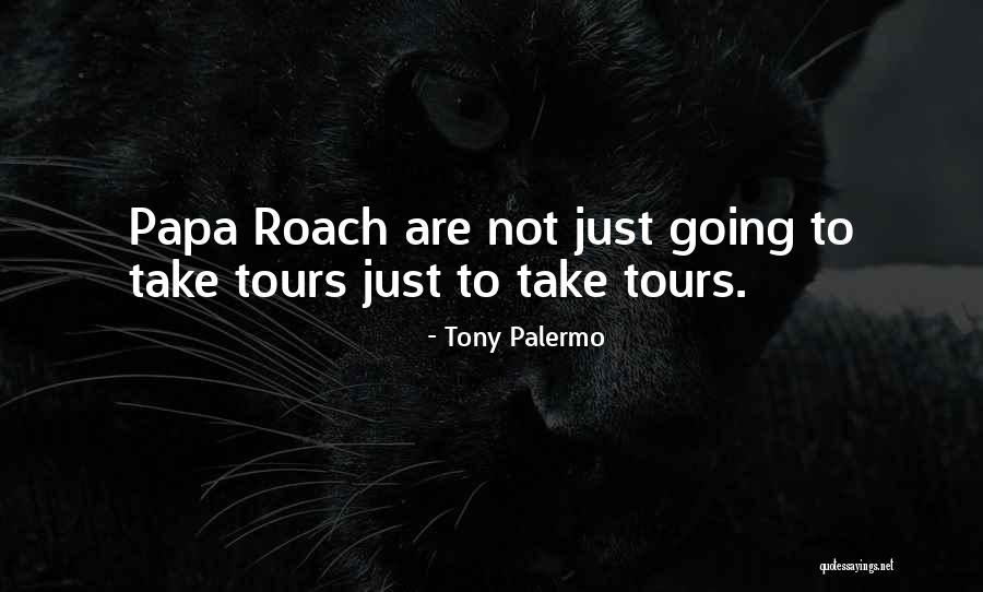 Tony Palermo Quotes 448562