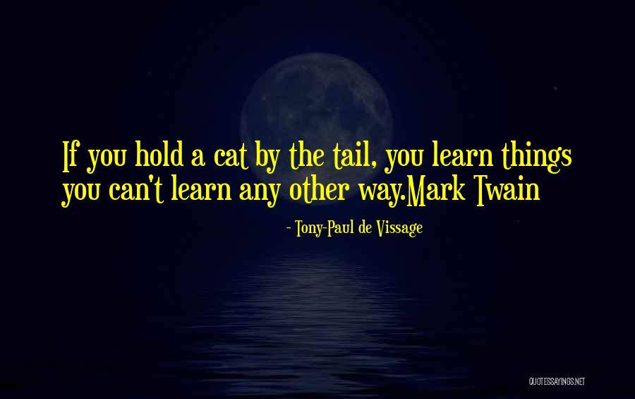 Tony-Paul De Vissage Quotes 427881