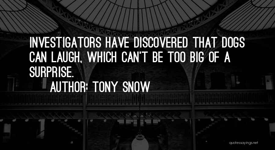 Tony Snow Quotes 869745