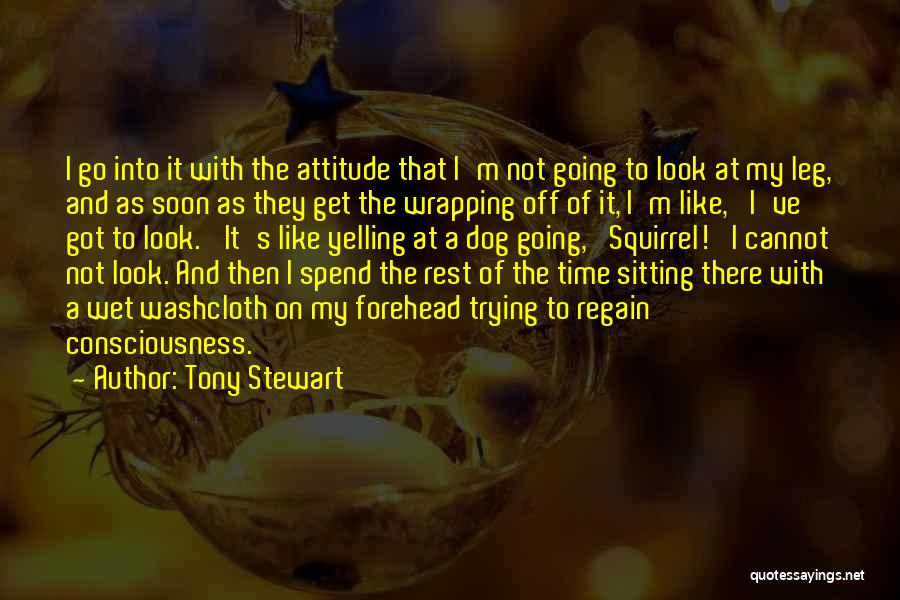 Tony Stewart Quotes 1261541