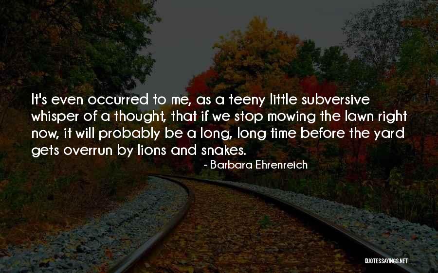 Tonyas Big Cat Quotes By Barbara Ehrenreich Tonyas Big Cat Quotes By Barbara Ehrenreich