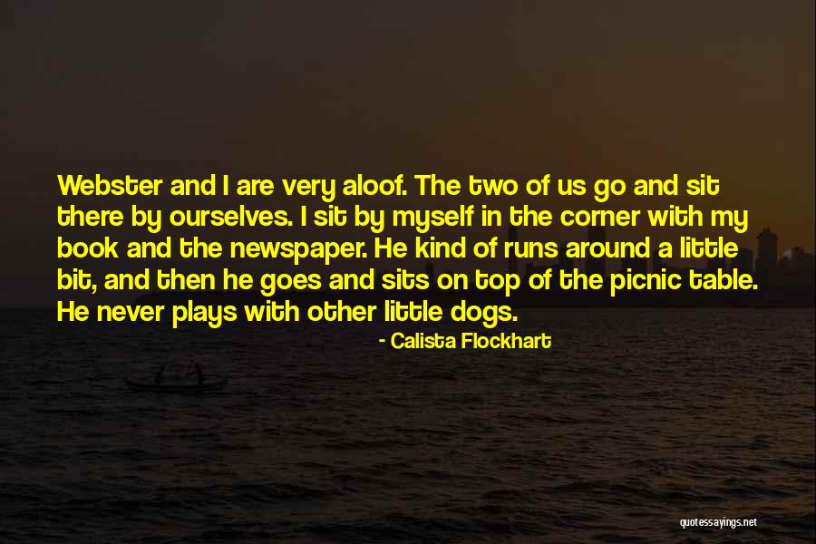 Too Aloof Quotes By Calista Flockhart Too Aloof Quotes By Calista Flockhart