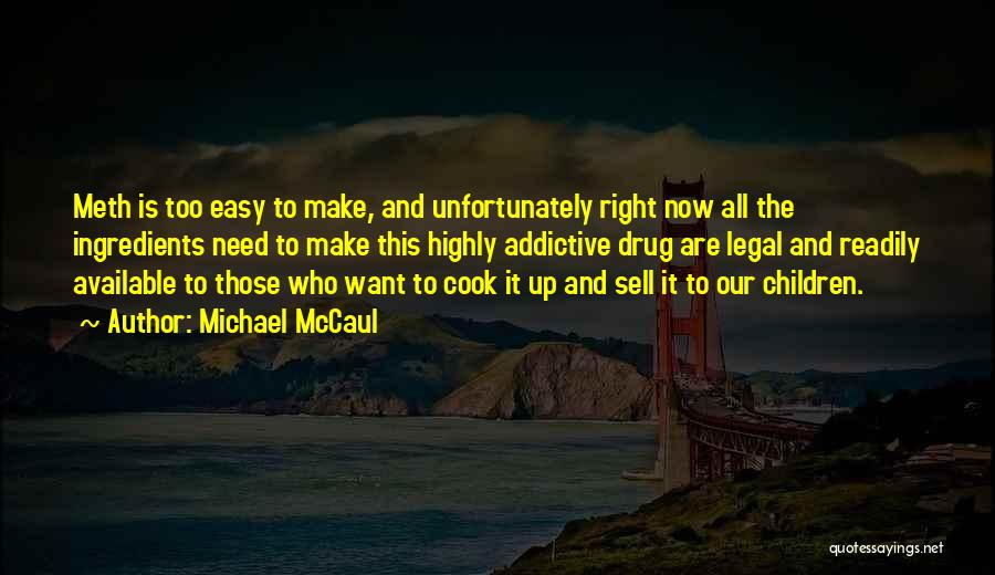 Too Available Quotes By Michael McCaul