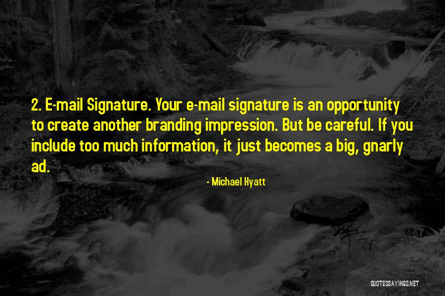 Too Careful Quotes By Michael Hyatt