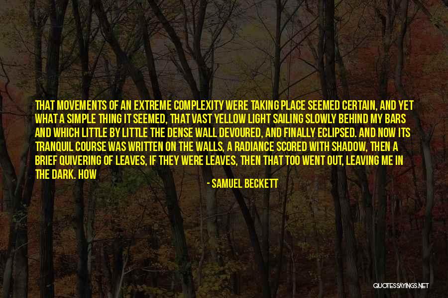 Too Extreme Quotes By Samuel Beckett Too Extreme Quotes By Samuel Beckett