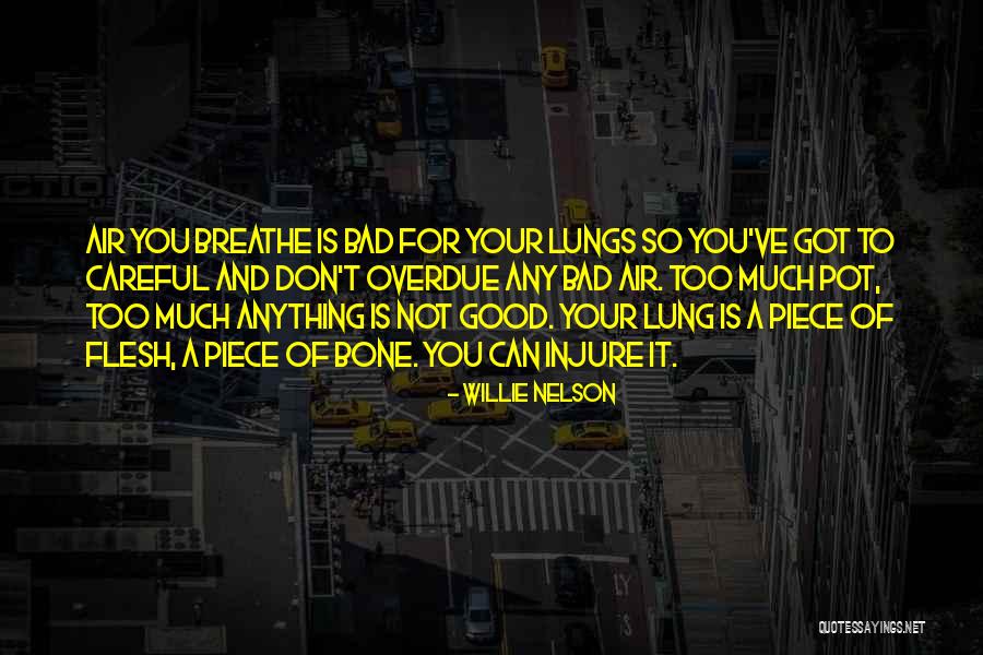 Too Good Is Bad Quotes By Willie Nelson Too Good Is Bad Quotes By Willie Nelson