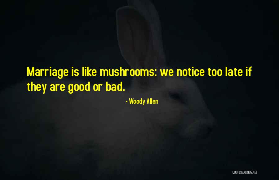 Too Good Is Bad Quotes By Woody Allen Too Good Is Bad Quotes By Woody Allen