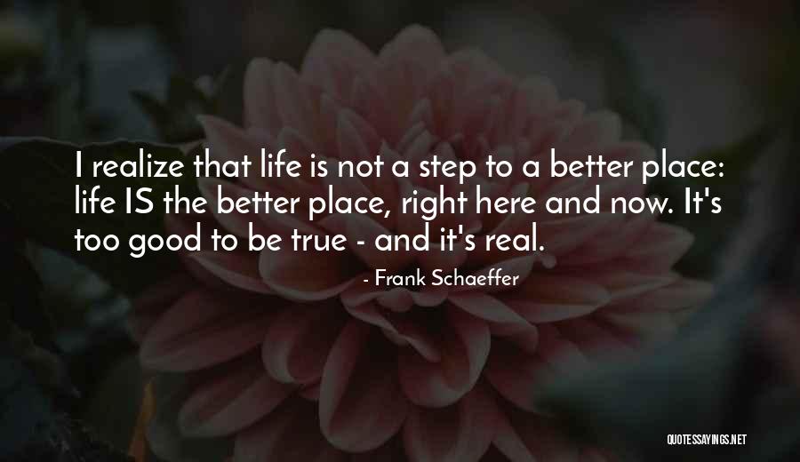 Too Good To Be True Quotes By Frank Schaeffer