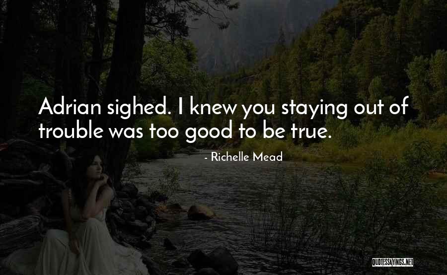 Too Good To Be True Quotes By Richelle Mead