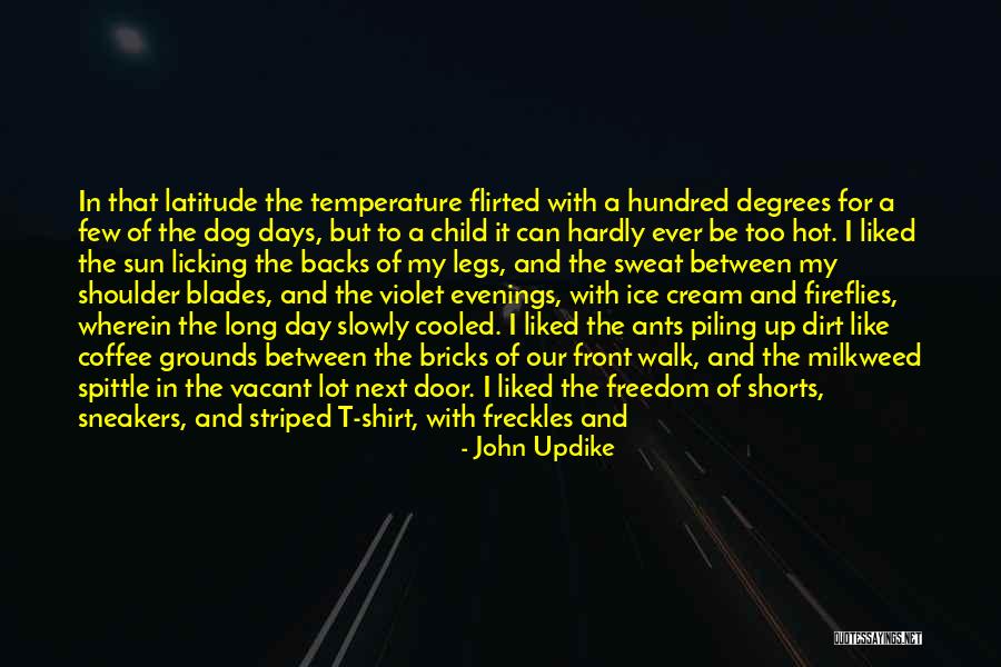 Too Hot Weather Quotes By John Updike Too Hot Weather Quotes By John Updike