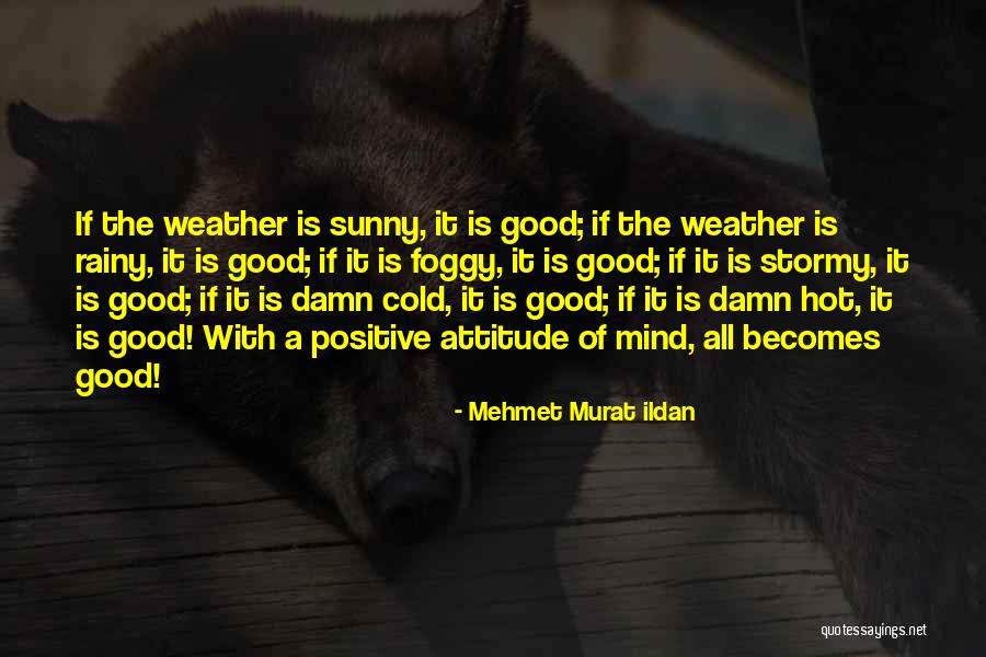 Too Hot Weather Quotes By Mehmet Murat Ildan