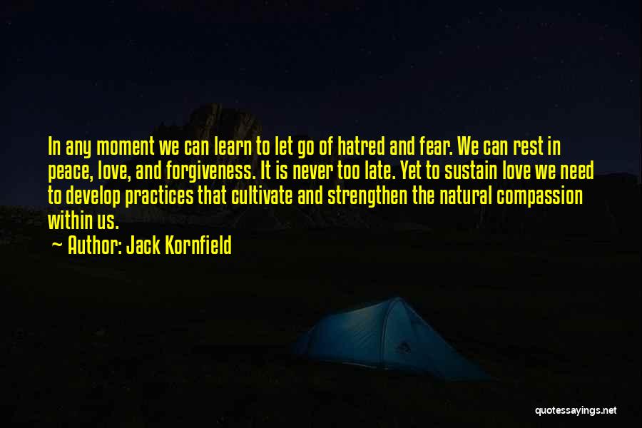 Too Late In Love Quotes By Jack Kornfield