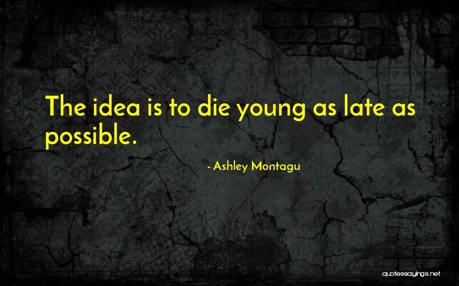 Too Late To Die Young Quotes By Ashley Montagu