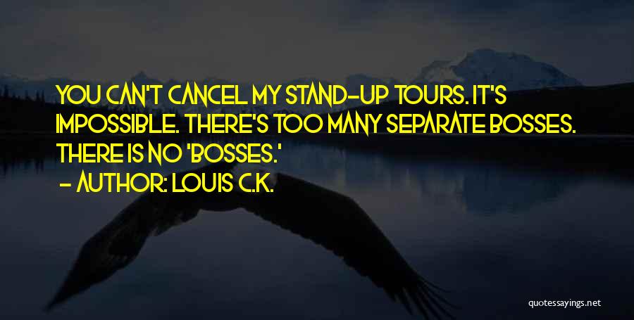 Too Many Bosses Quotes By Louis C.K.