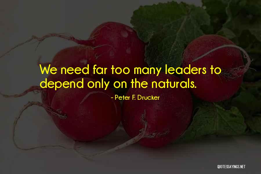 Too Many Leaders Quotes By Peter F. Drucker Too Many Leaders Quotes By Peter F. Drucker