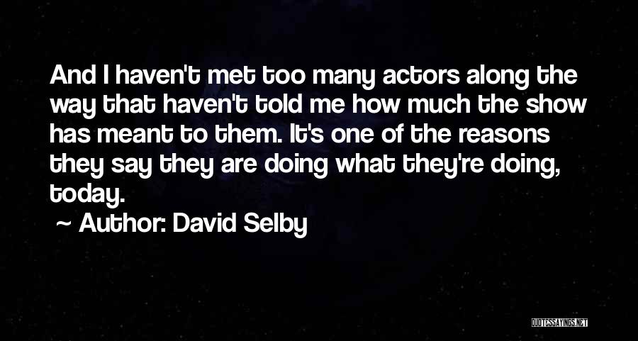 Too Many Reasons Quotes By David Selby