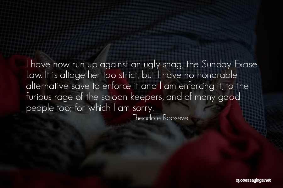 Too Many Sorry Quotes By Theodore Roosevelt Too Many Sorry Quotes By Theodore Roosevelt