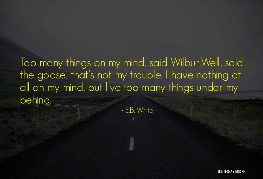 Too Many Things On My Mind Quotes By E.B. White