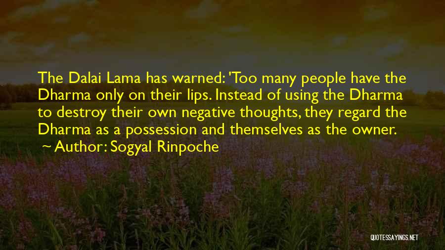 Too Many Thoughts Quotes By Sogyal Rinpoche