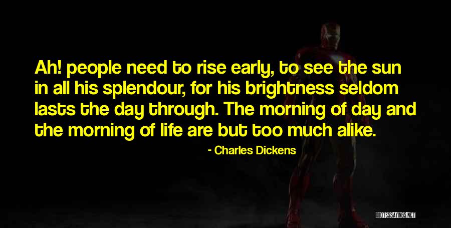 Too Much Alike Quotes By Charles Dickens