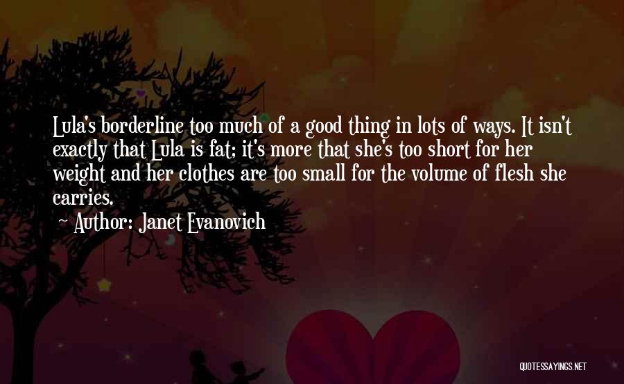 Too Much Clothes Quotes By Janet Evanovich