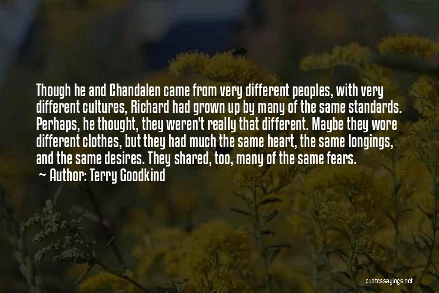 Too Much Clothes Quotes By Terry Goodkind