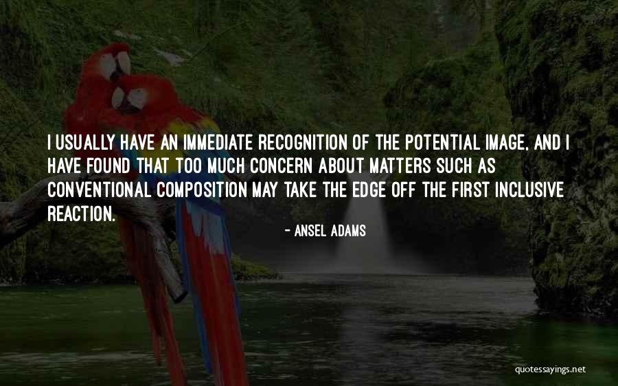 Too Much Concern Quotes By Ansel Adams Too Much Concern Quotes By Ansel Adams