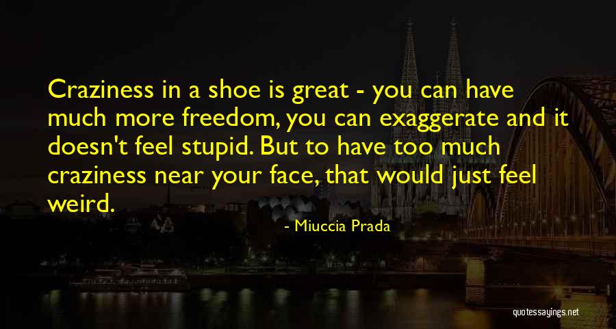 Too Much Freedom Quotes By Miuccia Prada