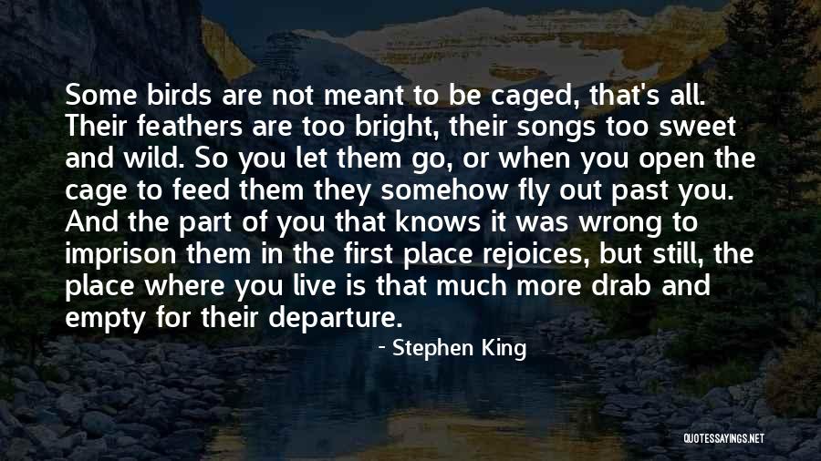 Too Much Freedom Quotes By Stephen King