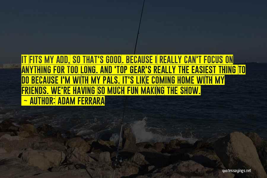 Too Much Fun Quotes By Adam Ferrara