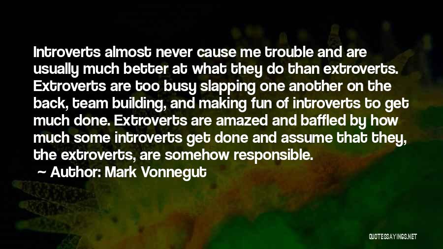 Too Much Fun Quotes By Mark Vonnegut