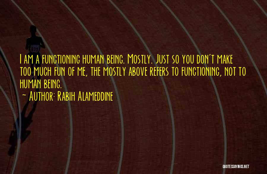 Too Much Fun Quotes By Rabih Alameddine