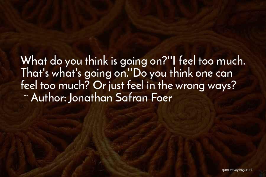 Too Much Going On Quotes By Jonathan Safran Foer