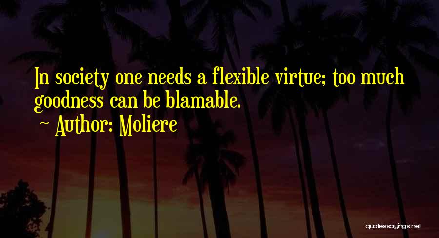 Too Much Goodness Quotes By Moliere