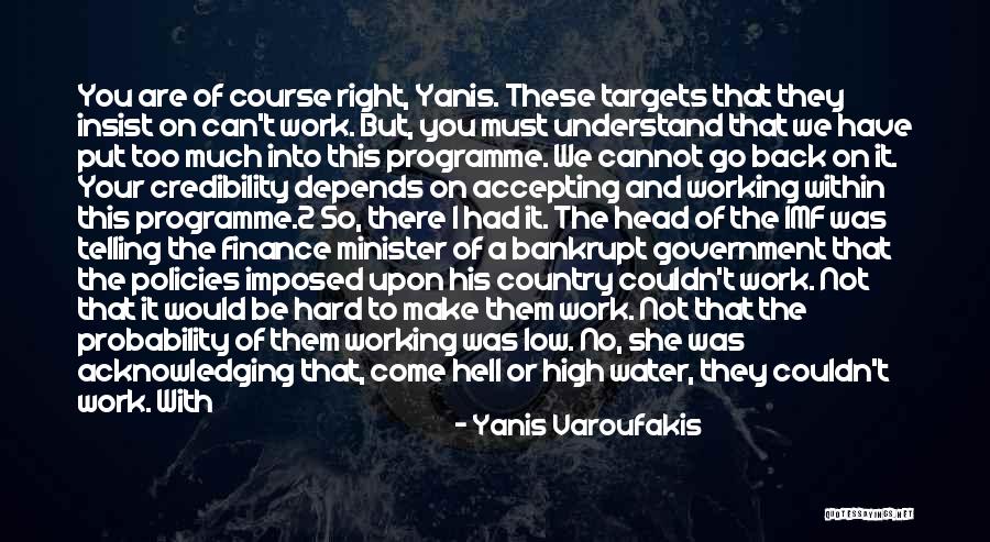 Too Much Hard Work Quotes By Yanis Varoufakis