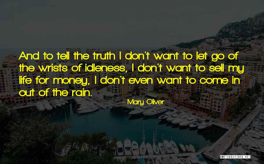Too Much Idleness Quotes By Mary Oliver Too Much Idleness Quotes By Mary Oliver