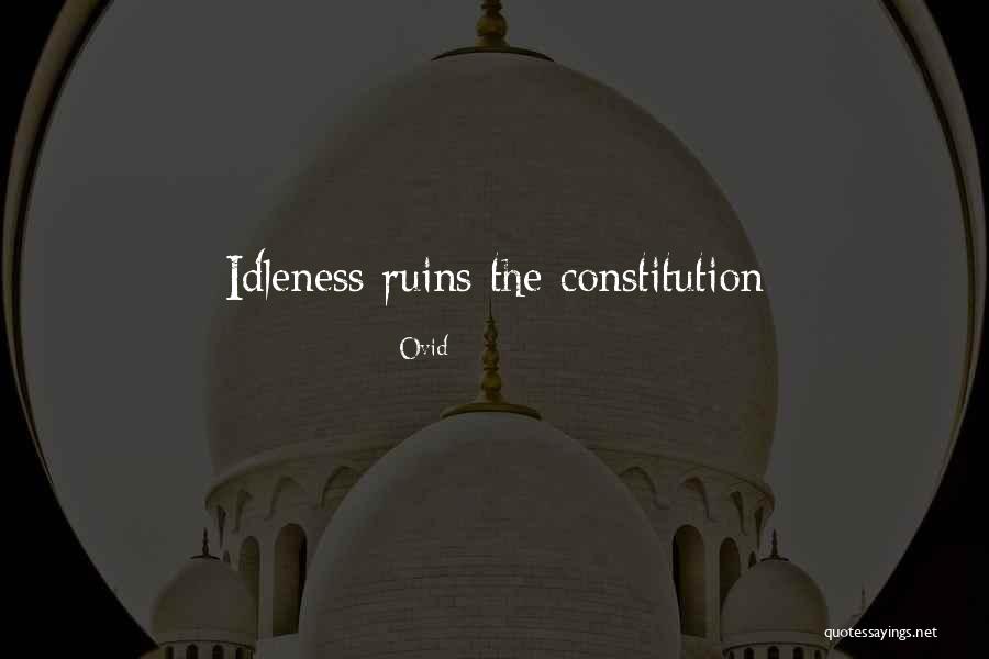 Too Much Idleness Quotes By Ovid Too Much Idleness Quotes By Ovid