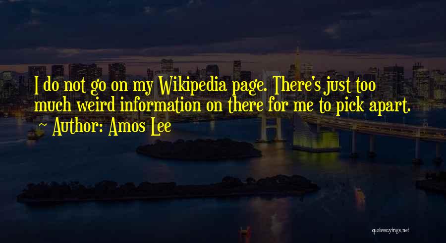 Too Much Information Quotes By Amos Lee
