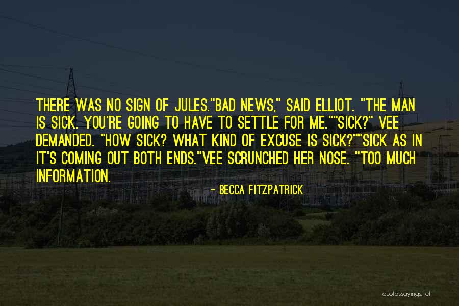 Too Much Information Quotes By Becca Fitzpatrick