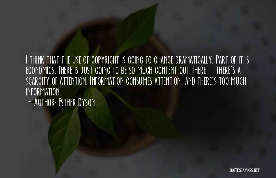 Too Much Information Quotes By Esther Dyson