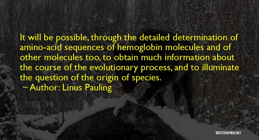 Too Much Information Quotes By Linus Pauling