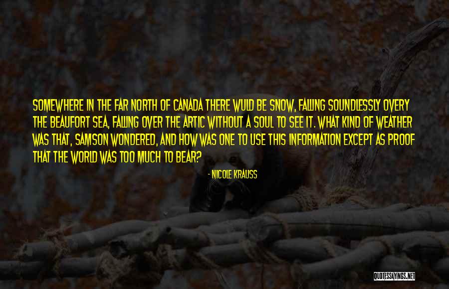 Too Much Information Quotes By Nicole Krauss Too Much Information Quotes By Nicole Krauss