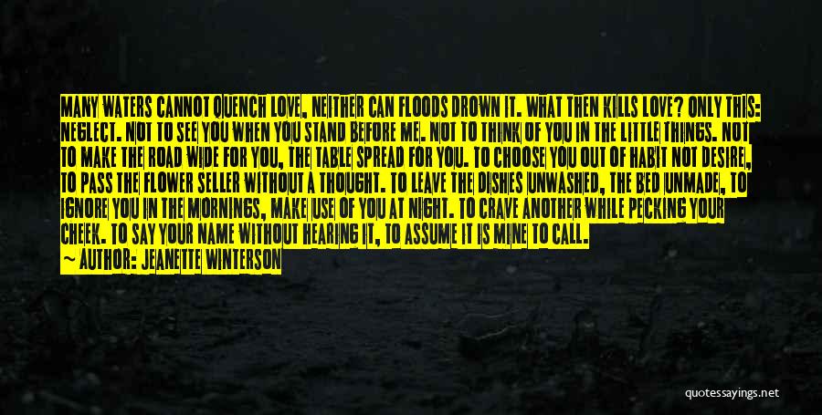 Too Much Love Kills Quotes By Jeanette Winterson