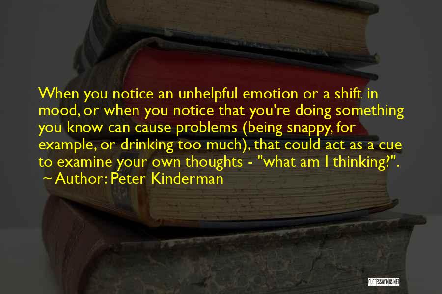 Too Much Problems Quotes By Peter Kinderman