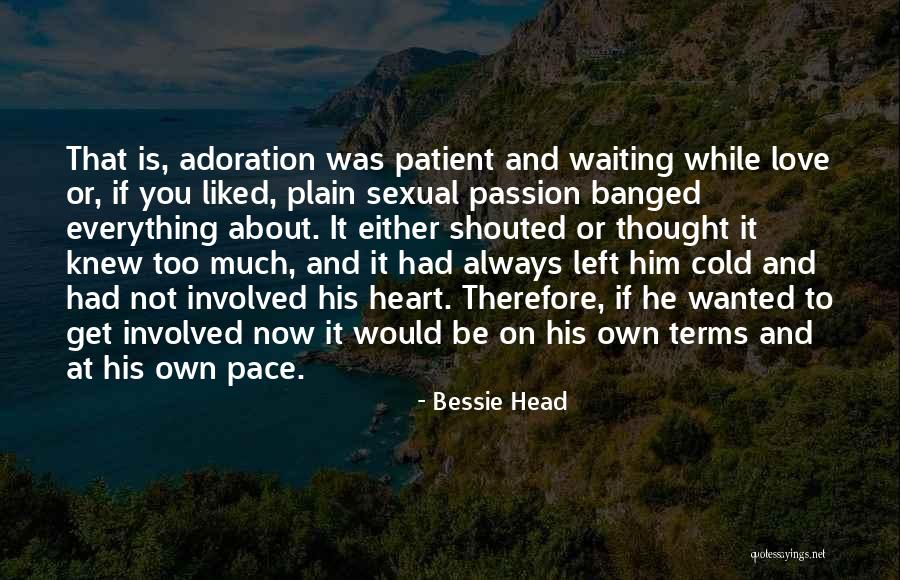 Too Much Quotes By Bessie Head Too Much Quotes By Bessie Head