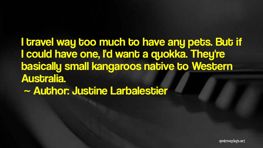 Too Much Quotes By Justine Larbalestier