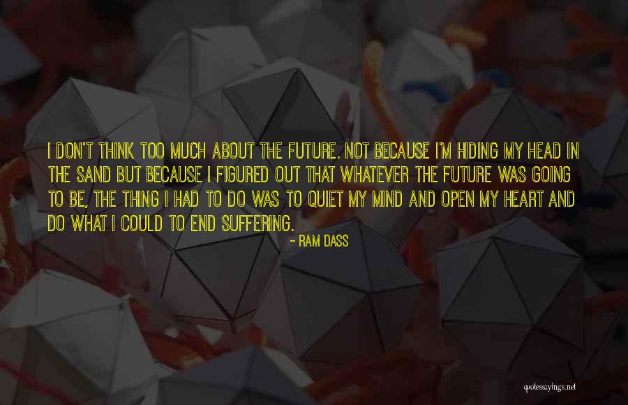 Too Much Quotes By Ram Dass Too Much Quotes By Ram Dass