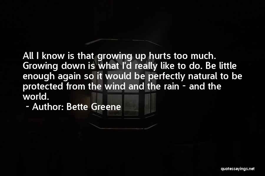 Too Much Rain Quotes By Bette Greene